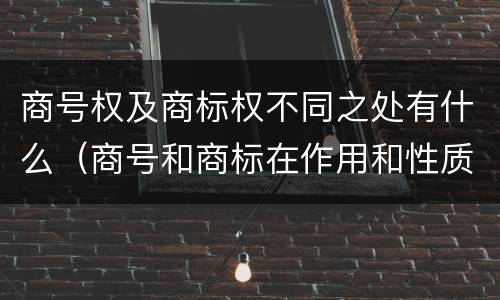 商号权及商标权不同之处有什么（商号和商标在作用和性质上的区别）