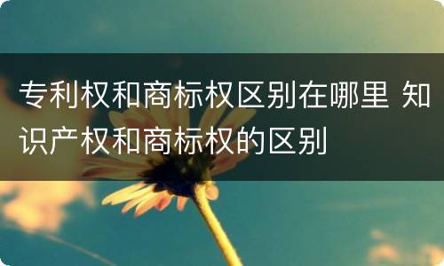 专利权和商标权区别在哪里 知识产权和商标权的区别