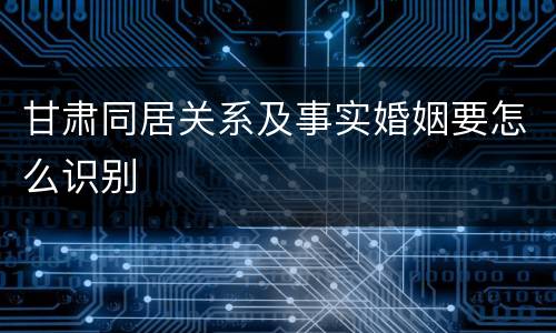 甘肃同居关系及事实婚姻要怎么识别