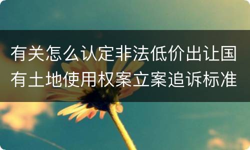 有关怎么认定非法低价出让国有土地使用权案立案追诉标准
