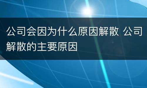 公司会因为什么原因解散 公司解散的主要原因