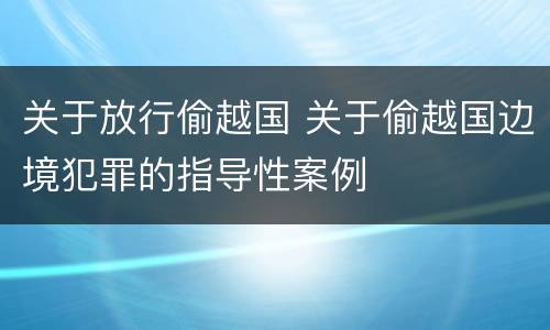 关于放行偷越国 关于偷越国边境犯罪的指导性案例