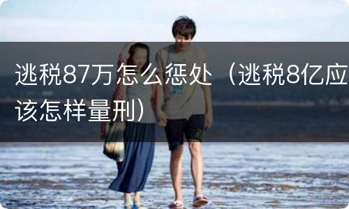 逃税87万怎么惩处（逃税8亿应该怎样量刑）