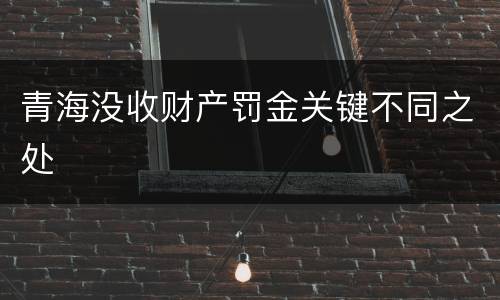 青海没收财产罚金关键不同之处