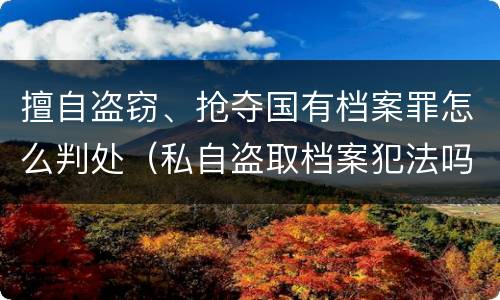 擅自盗窃、抢夺国有档案罪怎么判处（私自盗取档案犯法吗）