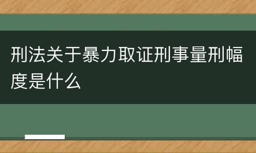 刑法关于暴力取证刑事量刑幅度是什么