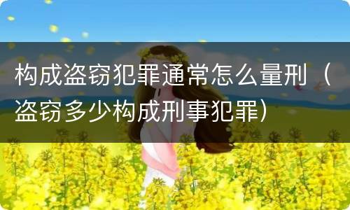 构成盗窃犯罪通常怎么量刑（盗窃多少构成刑事犯罪）