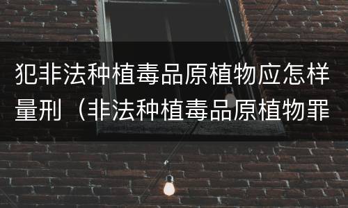犯非法种植毒品原植物应怎样量刑（非法种植毒品原植物罪量刑）