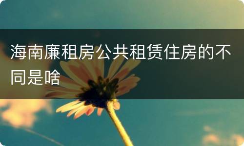 海南廉租房公共租赁住房的不同是啥