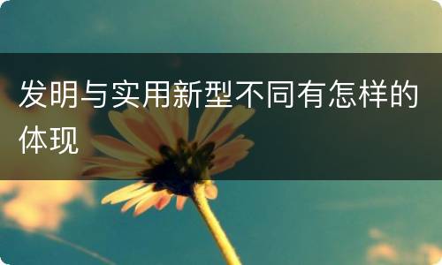 发明与实用新型不同有怎样的体现