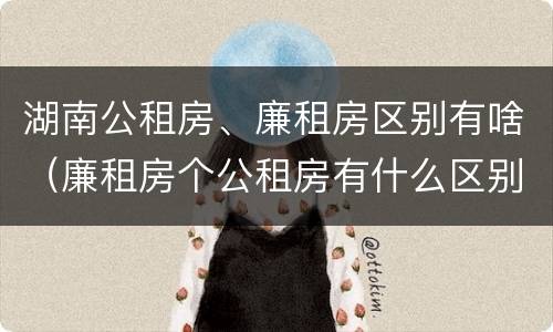 湖南公租房、廉租房区别有啥（廉租房个公租房有什么区别）