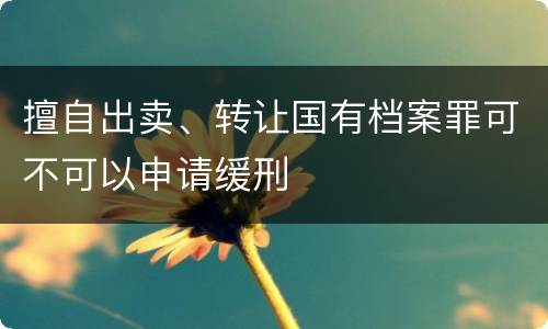 擅自出卖、转让国有档案罪可不可以申请缓刑
