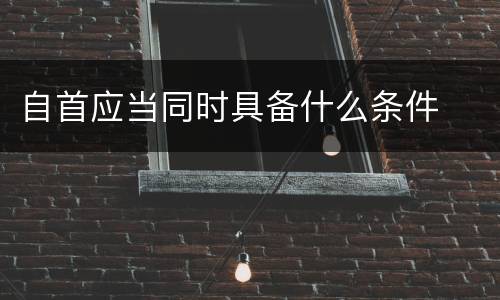 自首应当同时具备什么条件