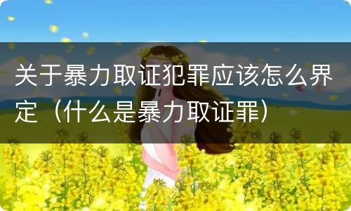 关于暴力取证犯罪应该怎么界定（什么是暴力取证罪）