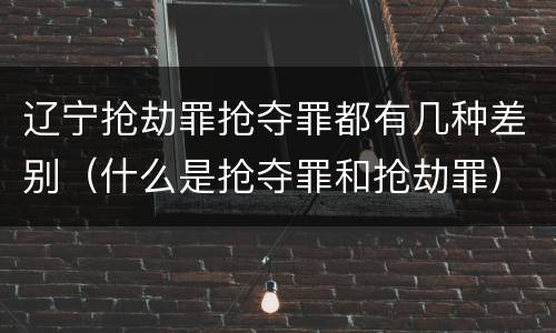 辽宁抢劫罪抢夺罪都有几种差别（什么是抢夺罪和抢劫罪）