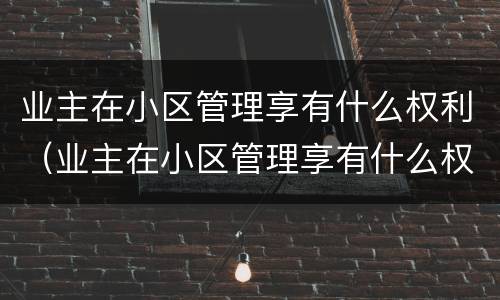 业主在小区管理享有什么权利（业主在小区管理享有什么权利吗）