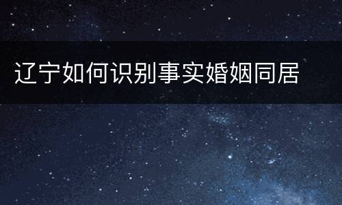 辽宁如何识别事实婚姻同居