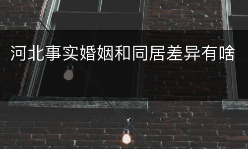河北事实婚姻和同居差异有啥