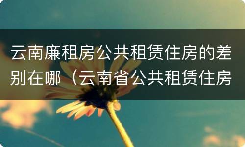 云南廉租房公共租赁住房的差别在哪（云南省公共租赁住房）