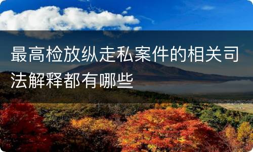 最高检放纵走私案件的相关司法解释都有哪些