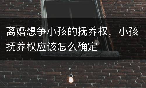 离婚想争小孩的抚养权，小孩抚养权应该怎么确定