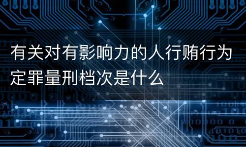 有关对有影响力的人行贿行为定罪量刑档次是什么