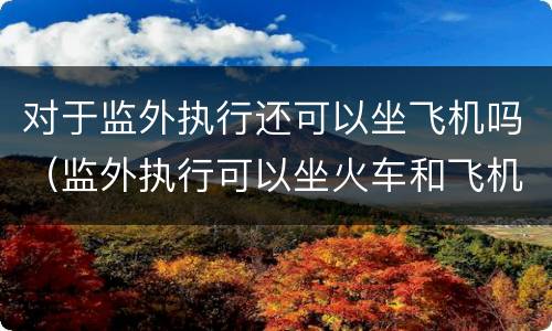 对于监外执行还可以坐飞机吗（监外执行可以坐火车和飞机吗）
