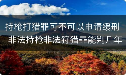 持枪打猎罪可不可以申请缓刑 非法持枪非法狩猎罪能判几年