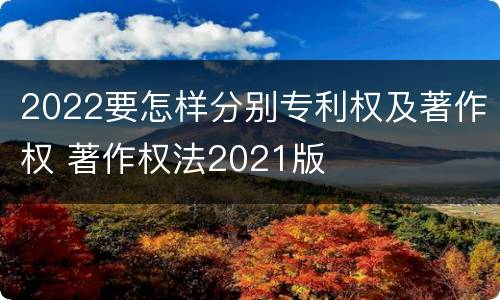 2022要怎样分别专利权及著作权 著作权法2021版