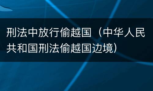 刑法中放行偷越国（中华人民共和国刑法偷越国边境）