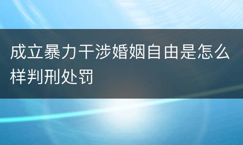 成立暴力干涉婚姻自由是怎么样判刑处罚